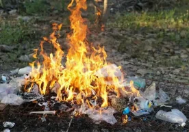 In Tashkent in 2025, thousands of cases related to waste