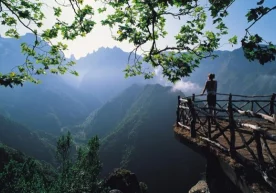 Табиат қўйнида бўлиш ҳаракатсиз яшаш тарзи билан боғлиқ