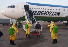 Xorijdan kelishda «yashil», «sariq» va «qizil» davlatlar ro‘yxati ma’lum bo‘ldi фото