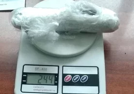 Божхона органлари томонидан гиёҳванд моддаларни