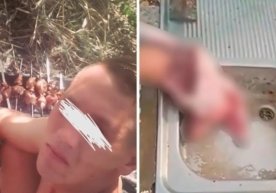 Тошкент вилоятининг Янгийўл шаҳрида ҳайвонларга нисбатан