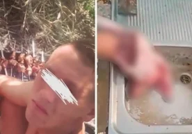 Тошкент вилоятининг Янгийўл шаҳрида ҳайвонларга нисбатан