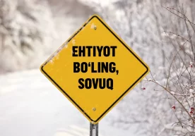 Normalden daha sıcak geçen sonbahar ve ılık başlayan kışın