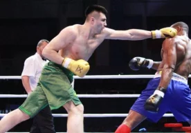 “Uzbek Tigers” жамоаси Бутунжаҳон бокс сериялари VIII
