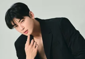 Корея шоубизнесининг энг ёрқин юлдузларидан бири — Ча Ыну.