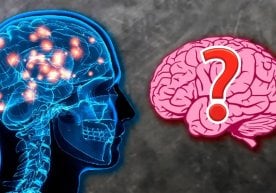 Кембридж университети олимлари томонидан ўтказилган кенг