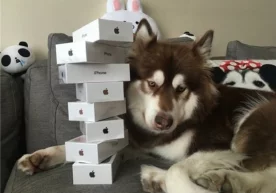 «Қитъа Хитойидаги кўчмас мулк қироли» Ван Цзяньлиннинг