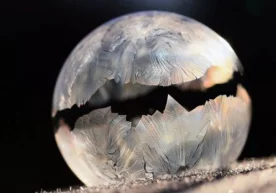 “Илмий тадқиқотлар учун тасвирий санъат” танлови ҳакамлар