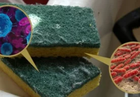 Терининг ҳар бир сантиметрида 100 минггача