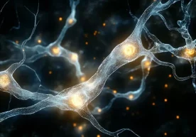 Foto: Neuroscience News Florida shtatidagi Maks Plank