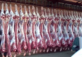 Покистон Ўзбекистонга гўшт етказишни бошлади, деб хабар