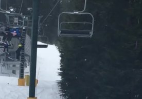 Kattalar talmovsirab turgan vaqtda oʻsmirlar yordamga oshiqishdi (video) фото