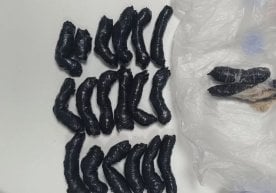 Ўзбекистон божхона органлари ҳуқуқни муҳофаза қилувчи