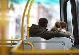 Тошкент шаҳрининг Юнусобод туманида рўй берган нохуш ҳолат