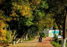 Ўзбекистонда шу ҳафтанинг дам олиш кунлари ҳаво ҳарорати