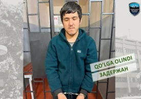 Тошкент шаҳрида ерости ўтиш жойида қизга ҳужум қилиб, уни