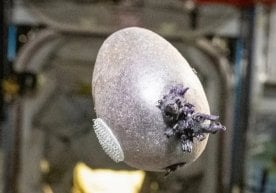 NASA астронавти Дон Петтит Халқаро космик станцияда (XKS)