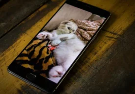 Хитойнинг энг яхши смартфонларини аниқлаш учун ўтказилган