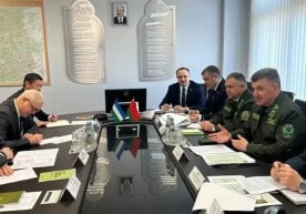 Беларус Ўзбекистонда йиғма ёғоч уйларни ишлаб чиқаришни ташкил этиши мумкин фото