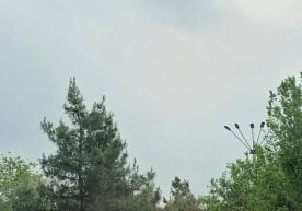 Тошкент вилоятида «Ватанпарвар» ҳарбий-патриотик боғи қурилади фото