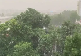 Photo: Yandex Today, May 7, adverse weather conditions are