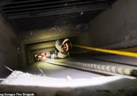 Фото: Daily Mail Хитойнинг Ханчжоу шаҳрида ўт ўчирувчилар
