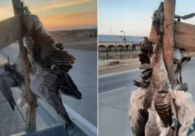 Ҳолат юзасидан вилоят экология бошқармаси изоҳ берди. Қайд