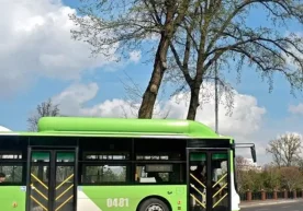 Тошкент шаҳар автобус йўналишлари энди вилоят ҳудудларига