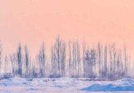 Ўзбекистон Республикаси Гидрометеорология хизмати маркази