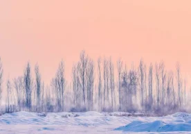 Ўзбекистон Республикаси Гидрометеорология хизмати маркази