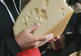Австриянинг Kaslab'n Nockberge фирмаси сут
