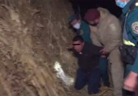 Зангиотада маст ҳайдовчи ЙПХ ходимларидан қочиб, жўхори поялари ичига яшириниб олди фото