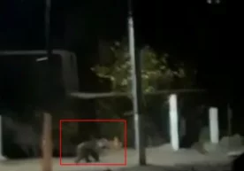Videolavhadan skrinshot Toshkent viloyatining Dukent