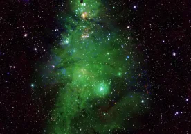 NASA олимлари NGC 2264 деб номланган ноёб космик