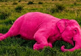 Необычное и спорное происшествие, произошедшее в Индии,