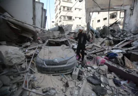 Араб давлатлари лигаси (AL) ва Ислом ҳамкорлик ташкилоти