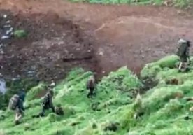 Yangi Zelandiyada uch yil oldin farzandlari bilan uyidan qochib ketgan ota ilk bor ko‘rinish berdi фото