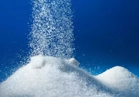 2 fevral kuni Rossiya Federasiyasi Qishloq xo‘jaligi