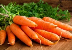 Сабзи - кўплаб витамин, минерал ва микроэлементларга эга