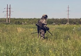 Украинада деярли 10 минг гектар ер миналардан тозаланди фото