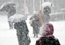 Тошкент шаҳрида кун ўзгарувчан ўтади, ёғингарчилик