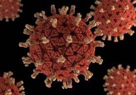 Bilim insanları, mRNA teknolojisine dayalı Pfizer ve