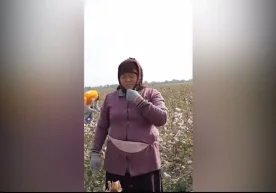 Foto: Videodan kadr Toshkent viloyati hokimi Zoir Mirzayev