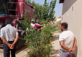 Sud va boshqa organ hujjatini ijrosiga ko‘ra, qarzdorlikni