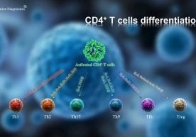 Исроилдаги Бен-Гурион университети тадқиқотчилари инсон
