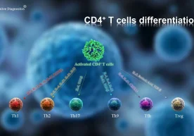 Исроилдаги Бен-Гурион университети тадқиқотчилари инсон