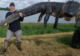 Foto: the-sun AQSHning Florida shtatida Dag Borris ismli