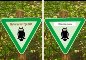 Google Translate’ga raqobatchi sifatida “Yandeks”