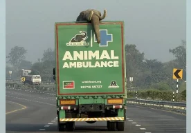 Ҳиндистонда ёввойи табиат ва ҳайвонлар ҳимояси йўлида