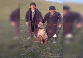 Фото: Telegram / «Экологуз» Ўзбекистон Қизил китобига